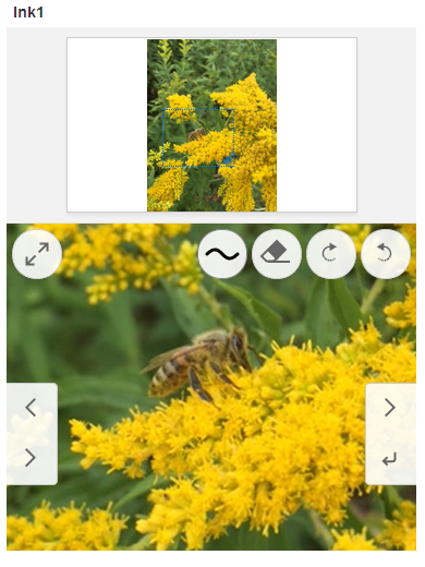 The background image in the Ink control